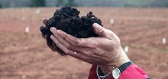 oacc-ad-compost