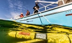 Canada Foundation for Innovation invests $38.5M in Dal‑led Ocean Tracking Network